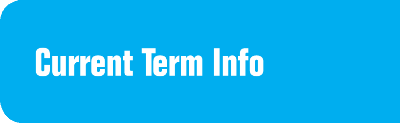 Current Term Info